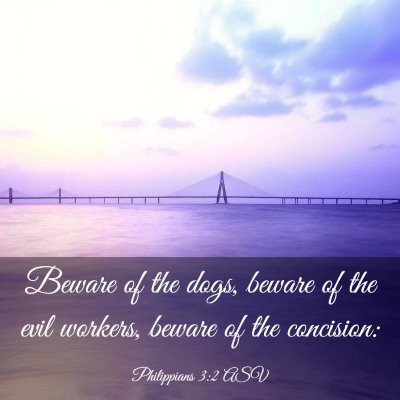 Picture 03 - Philippians 3:2 ASV - Beware of the dogs, beware of the evil workers, - Bible Verse Picture