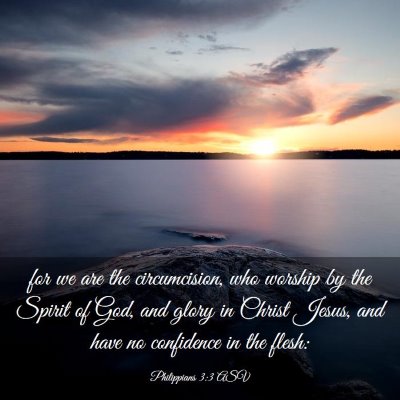 Picture 03 - Philippians 3:3 ASV - for we are the circumcision, who worship by the - Bible Verse Picture