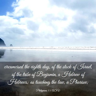 Picture 03 - Philippians 3:5 ASV - circumcised the eighth day, of the stock of - Bible Verse Picture