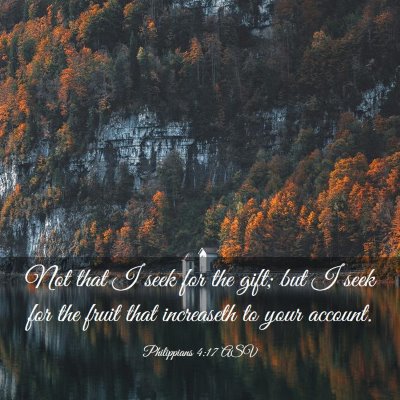 Picture 03 - Philippians 4:17 ASV - Not that I seek for the gift; but I seek for the - Bible Verse Picture