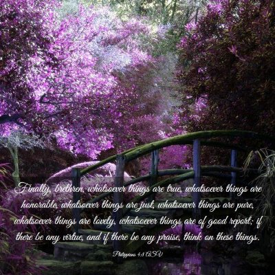 Picture 03 - Philippians 4:8 ASV - Finally, brethren, whatsoever things are true, - Bible Verse Picture