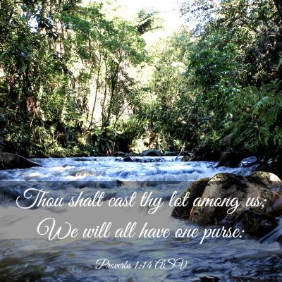 Picture 03 - Proverbs 1:14 ASV - Thou shalt cast thy lot among us; We will all - Bible Verse Picture