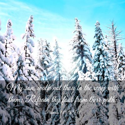 Picture 03 - Proverbs 1:15 ASV - My son, walk not thou in the way with them; - Bible Verse Picture
