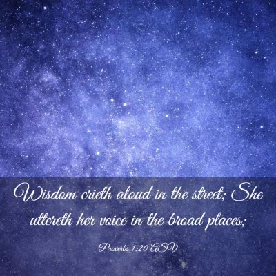 Picture 03 - Proverbs 1:20 ASV - Wisdom crieth aloud in the street; She uttereth - Bible Verse Picture