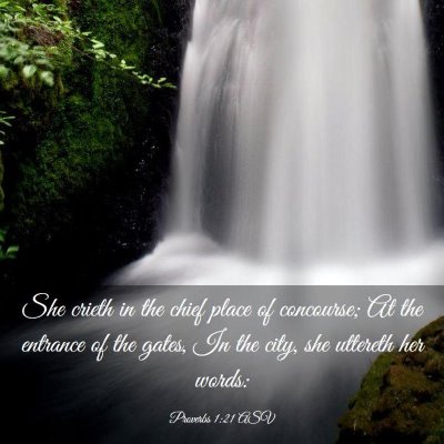 Picture 03 - Proverbs 1:21 ASV - She crieth in the chief place of concourse; At - Bible Verse Picture