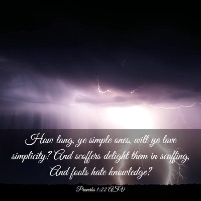 Picture 03 - Proverbs 1:22 ASV - How long, ye simple ones, will ye love - Bible Verse Picture