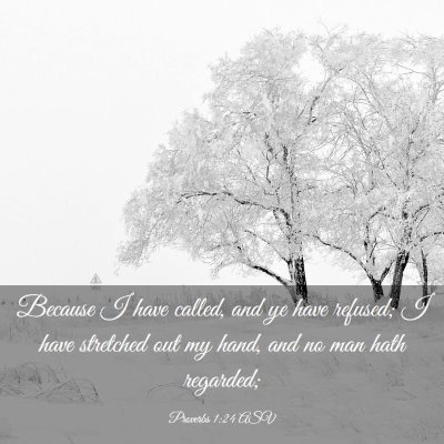 Picture 03 - Proverbs 1:24 ASV - Because I have called, and ye have refused; I - Bible Verse Picture