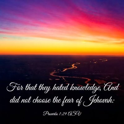 Picture 03 - Proverbs 1:29 ASV - For that they hated knowledge, And did not choose - Bible Verse Picture