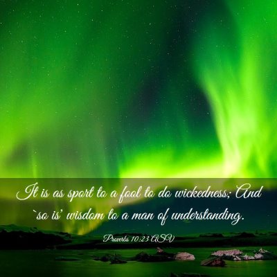 Picture 03 - Proverbs 10:23 ASV - It is as sport to a fool to do wickedness; And - Bible Verse Picture