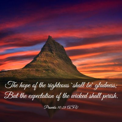 Picture 03 - Proverbs 10:28 ASV - The hope of the righteous `shall be' gladness; - Bible Verse Picture
