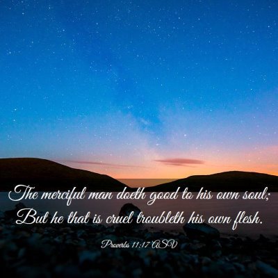 Picture 03 - Proverbs 11:17 ASV - The merciful man doeth good to his own soul; But - Bible Verse Picture