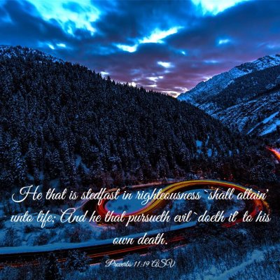 Picture 03 - Proverbs 11:19 ASV - He that is stedfast in righteousness `shall - Bible Verse Picture