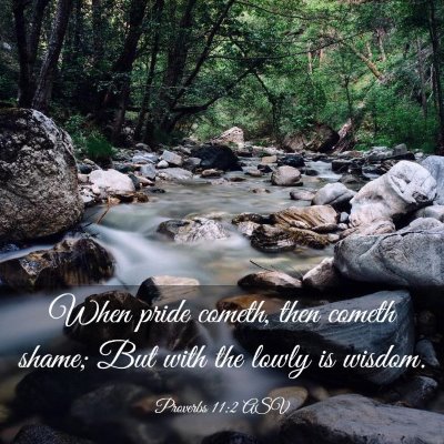 Picture 03 - Proverbs 11:2 ASV - When pride cometh, then cometh shame; But with - Bible Verse Picture