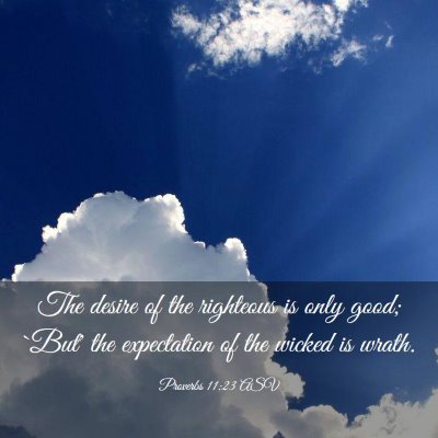 Picture 03 - Proverbs 11:23 ASV - The desire of the righteous is only good; `But' - Bible Verse Picture