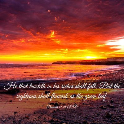 Picture 03 - Proverbs 11:28 ASV - He that trusteth in his riches shall fall; But - Bible Verse Picture