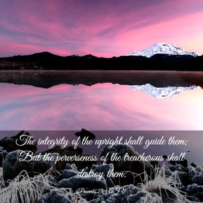 Picture 03 - Proverbs 11:3 ASV - The integrity of the upright shall guide them; - Bible Verse Picture