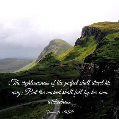 Picture 03 - Proverbs 11:5 ASV - The righteousness of the perfect shall direct his - Bible Verse Picture