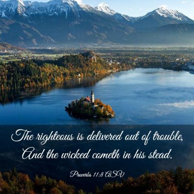Picture 03 - Proverbs 11:8 ASV - The righteous is delivered out of trouble, And - Bible Verse Picture
