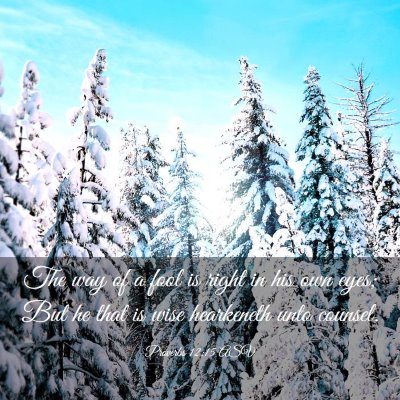 Picture 03 - Proverbs 12:15 ASV - The way of a fool is right in his own eyes; But - Bible Verse Picture