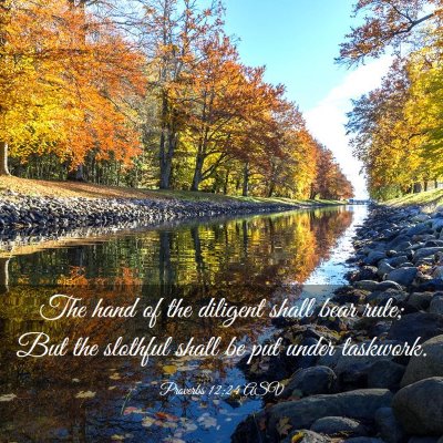 Picture 03 - Proverbs 12:24 ASV - The hand of the diligent shall bear rule; But the - Bible Verse Picture