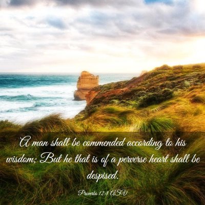 Picture 03 - Proverbs 12:8 ASV - A man shall be commended according to his wisdom; - Bible Verse Picture