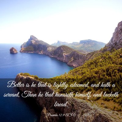 Picture 03 - Proverbs 12:9 ASV - Better is he that is lightly esteemed, and hath a - Bible Verse Picture