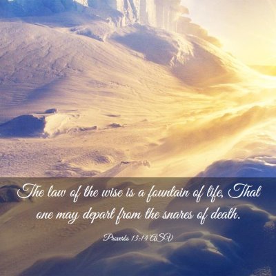 Picture 03 - Proverbs 13:14 ASV - The law of the wise is a fountain of life, That - Bible Verse Picture