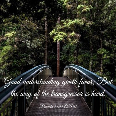 Picture 03 - Proverbs 13:15 ASV - Good understanding giveth favor; But the way of - Bible Verse Picture