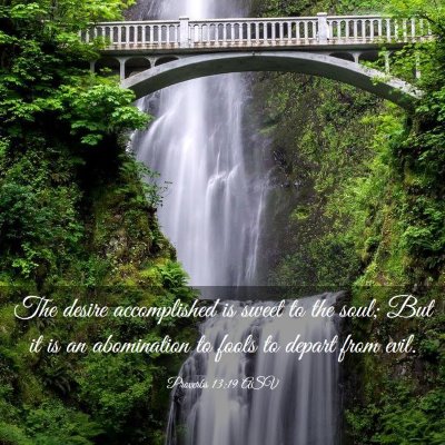 Picture 03 - Proverbs 13:19 ASV - The desire accomplished is sweet to the soul; But - Bible Verse Picture