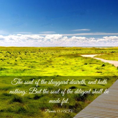 Picture 03 - Proverbs 13:4 ASV - The soul of the sluggard desireth, and hath - Bible Verse Picture