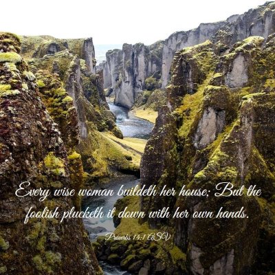 Picture 03 - Proverbs 14:1 ASV - Every wise woman buildeth her house; But the - Bible Verse Picture