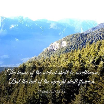 Picture 03 - Proverbs 14:11 ASV - The house of the wicked shall be overthrown; But - Bible Verse Picture