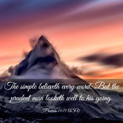 Picture 03 - Proverbs 14:15 ASV - The simple believeth every word; But the prudent - Bible Verse Picture
