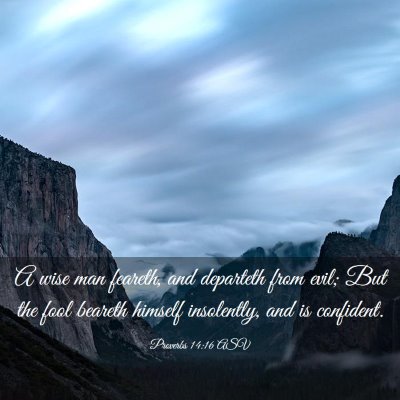 Picture 03 - Proverbs 14:16 ASV - A wise man feareth, and departeth from evil; But - Bible Verse Picture