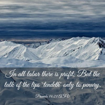 Picture 03 - Proverbs 14:23 ASV - In all labor there is profit; But the talk of the - Bible Verse Picture