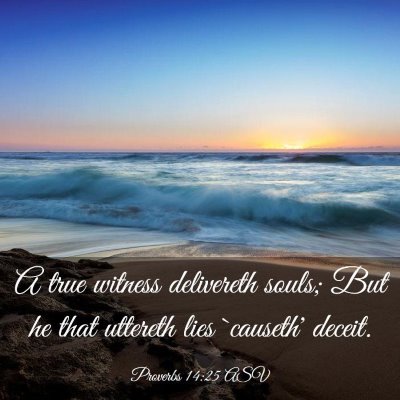 Picture 03 - Proverbs 14:25 ASV - A true witness delivereth souls; But he that - Bible Verse Picture