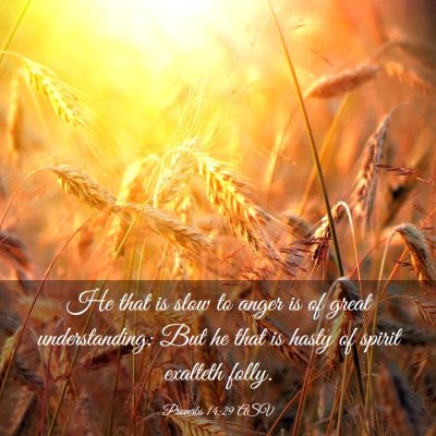 Picture 03 - Proverbs 14:29 ASV - He that is slow to anger is of great - Bible Verse Picture