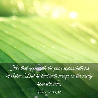 Picture 03 - Proverbs 14:31 ASV - He that oppresseth the poor reproacheth his - Bible Verse Picture