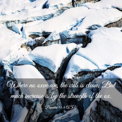 Picture 03 - Proverbs 14:4 ASV - Where no oxen are, the crib is clean; But much - Bible Verse Picture