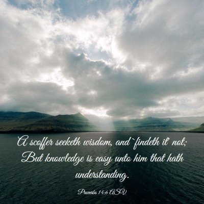 Picture 03 - Proverbs 14:6 ASV - A scoffer seeketh wisdom, and `findeth it' not; - Bible Verse Picture