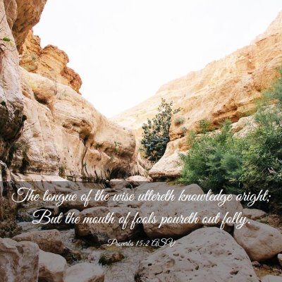 Picture 03 - Proverbs 15:2 ASV - The tongue of the wise uttereth knowledge aright; - Bible Verse Picture
