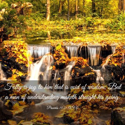 Picture 03 - Proverbs 15:21 ASV - Folly is joy to him that is void of wisdom; But a - Bible Verse Picture
