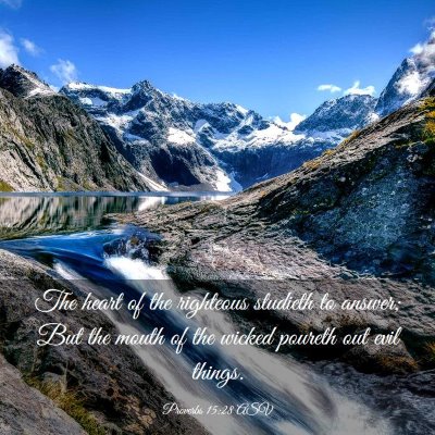 Picture 03 - Proverbs 15:28 ASV - The heart of the righteous studieth to answer; - Bible Verse Picture