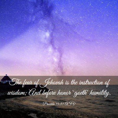 Picture 03 - Proverbs 15:33 ASV - The fear of Jehovah is the instruction of wisdom; - Bible Verse Picture