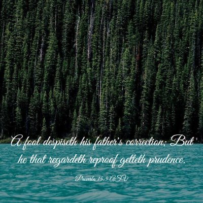 Picture 03 - Proverbs 15:5 ASV - A fool despiseth his father's correction; But he - Bible Verse Picture