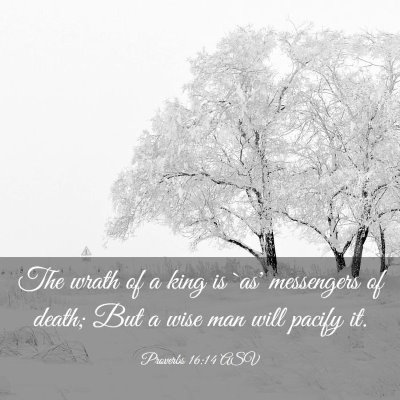 Picture 03 - Proverbs 16:14 ASV - The wrath of a king is `as' messengers of death; - Bible Verse Picture