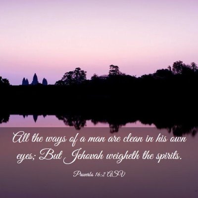 Picture 03 - Proverbs 16:2 ASV - All the ways of a man are clean in his own eyes; - Bible Verse Picture
