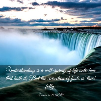 Picture 03 - Proverbs 16:22 ASV - Understanding is a well-spring of life unto him - Bible Verse Picture