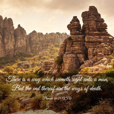 Picture 03 - Proverbs 16:25 ASV - There is a way which seemeth right unto a man, - Bible Verse Picture