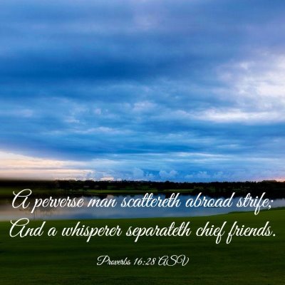 Picture 03 - Proverbs 16:28 ASV - A perverse man scattereth abroad strife; And a - Bible Verse Picture